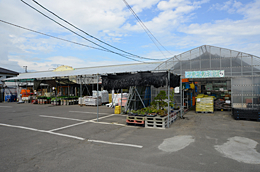 农资材店 东东 106　佐渡店